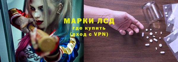 ГАЛЛЮЦИНОГЕННЫЕ ГРИБЫ Семёнов