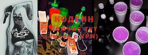 прущие грибы Елизово